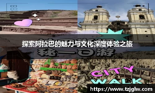 U8国际平台