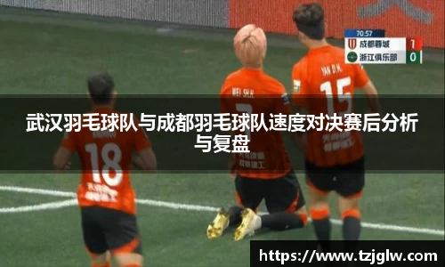 武汉羽毛球队与成都羽毛球队速度对决赛后分析与复盘